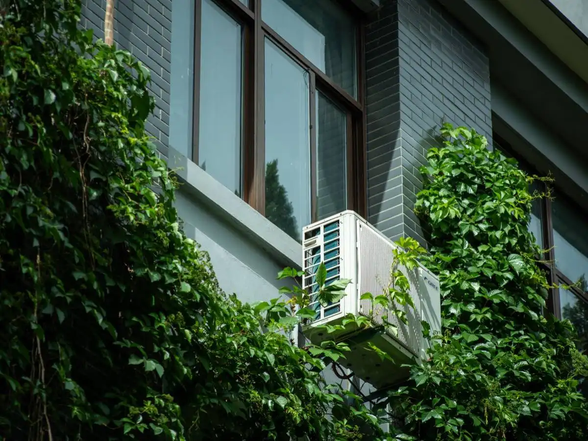 Energy-Efficient Window Upgrades in Hemet, CA